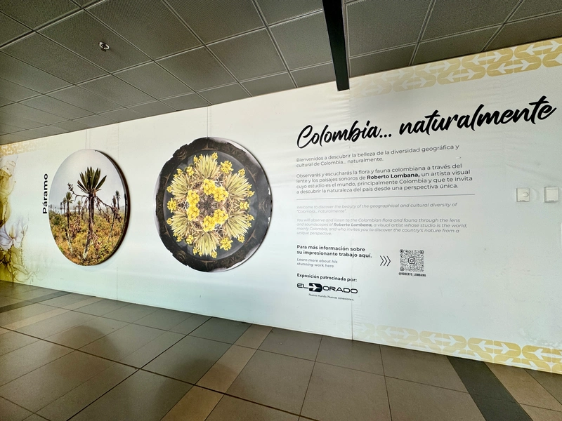 exposición de arte