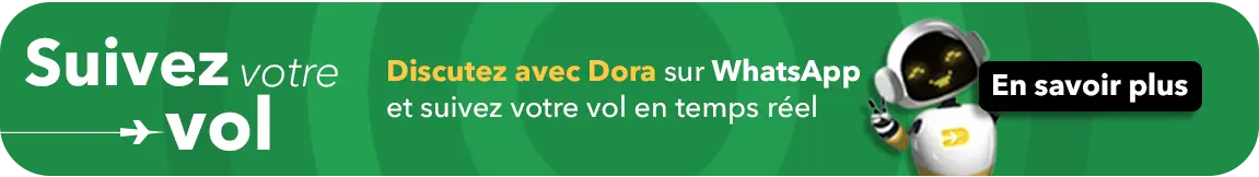 sigue tu vuelos chateando con dora